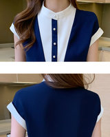 Chic Dual Tone Blouse